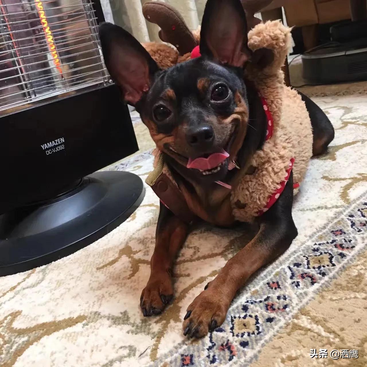 挡电梯门致幼童被困,挡电梯门这事到底有多危险? 挡电梯门致幼童被困,挡电梯门这事到底有多危险?