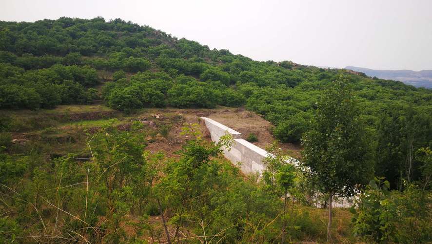 一地严禁自来水浇地,一地严禁自来水浇地的通知