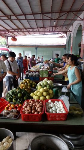越南取消计划生育,越南取消计划生育的原因