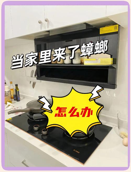 全季酒店出现蟑螂,全季酒店蟑螂怎么处理