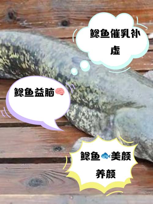 放生2.5万斤外来鲇鱼,请问.一条纯白色,八条须子,类似鲶鱼.是什么鱼?是在水库发现的?