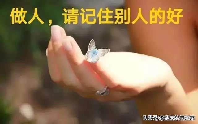 蜜雪爆单店员崩溃,蜜雪冰城店员与顾客互殴怎么处理？