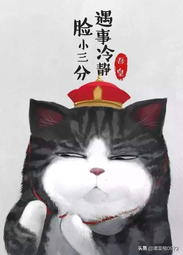 跳楼机已吸金4000万,网红真的很红吗？