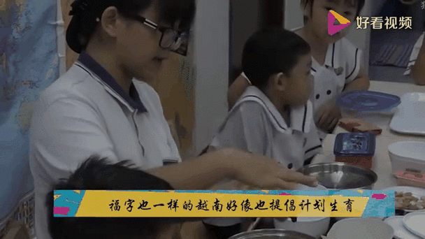 越南取消计划生育,越南取消计划生育了吗