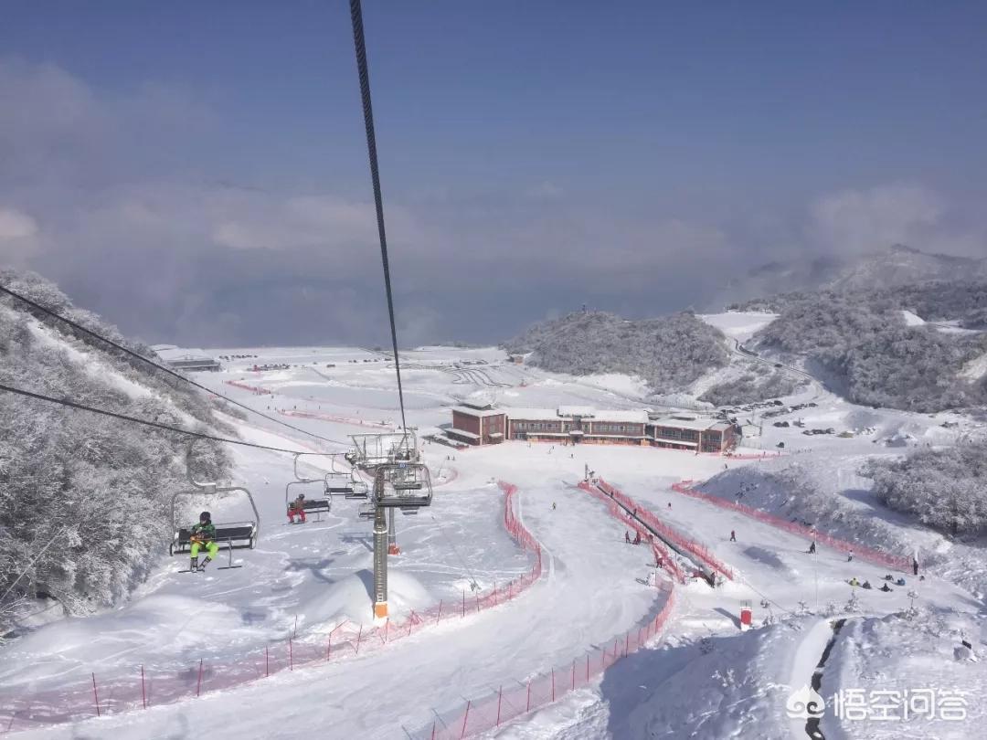 挡电梯门致幼童被困,孩子遗忘在电梯怎么办？