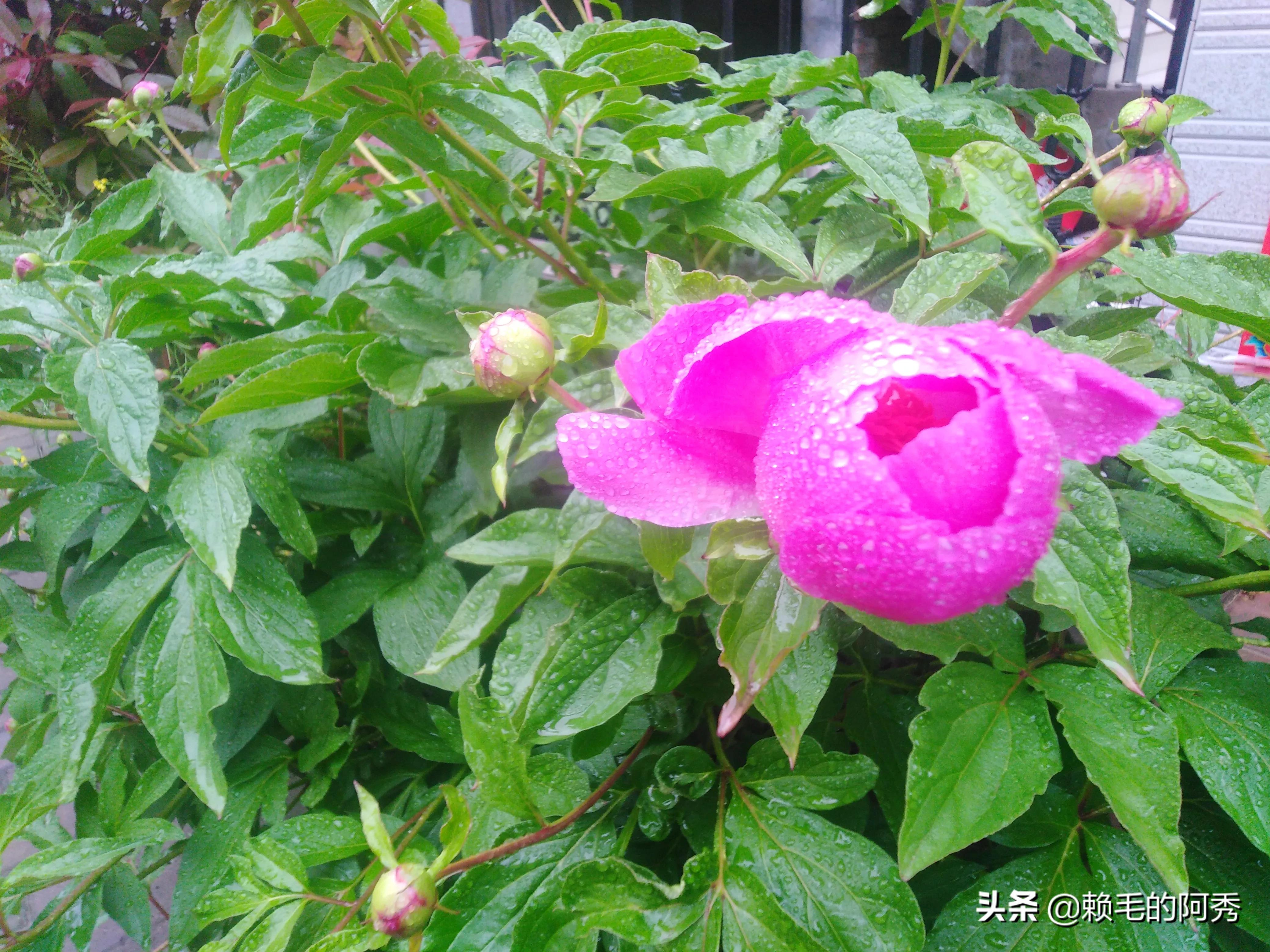 上海男子失业后逆袭,买房成家梦想破灭，寒门之子怎样在北上广深逆袭？