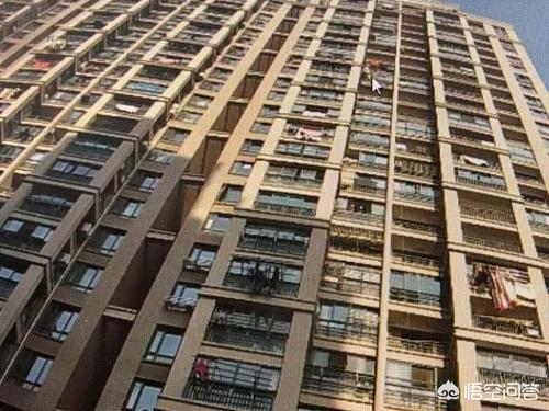 天降花盆砸路人脚边,十月有什么花？