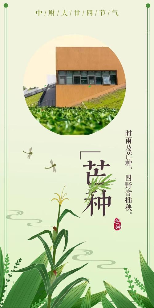 17时57分将迎来芒种,2021年芒种的温度?