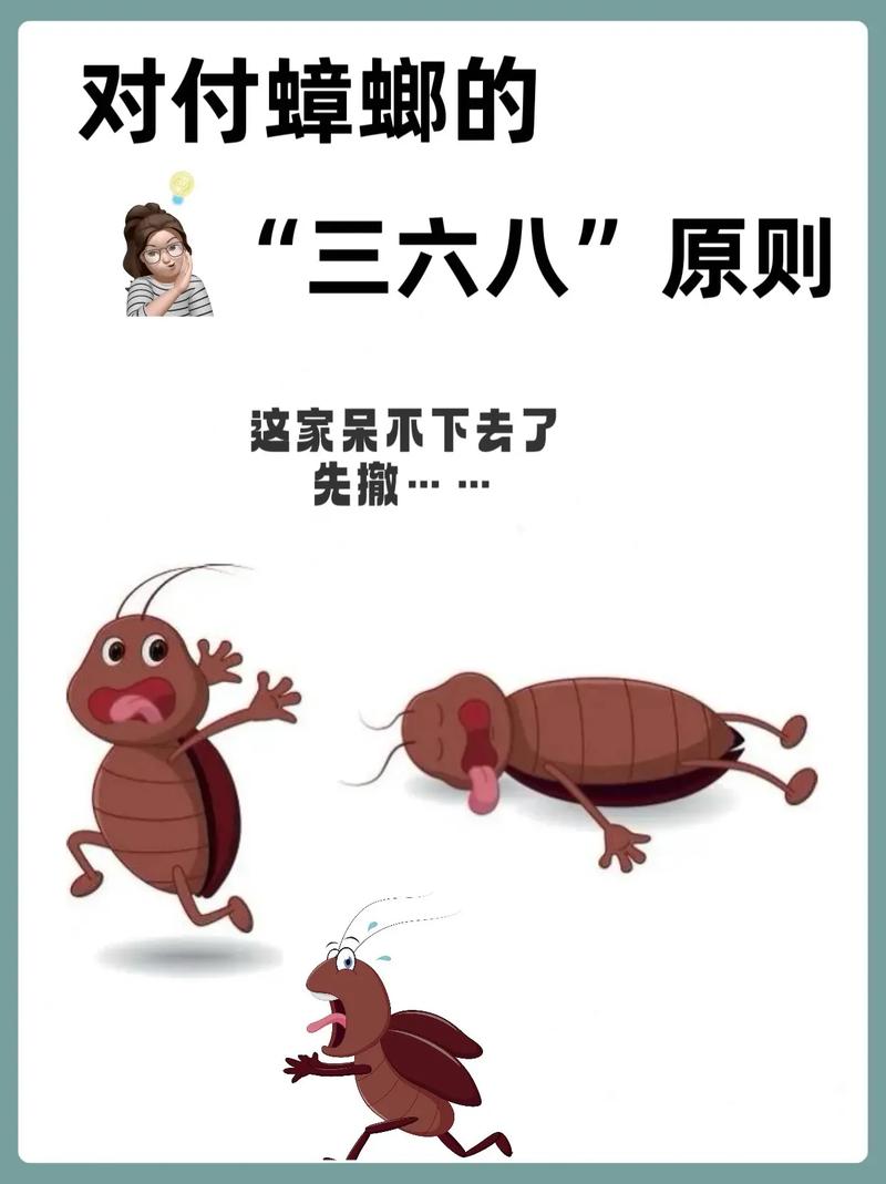 酒店早餐吃出蒸蟑螂,室内敌敌畏熏蒸杀灭蟑螂方法?