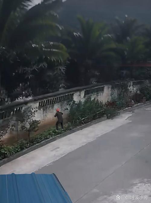 天降花盆砸路人脚边,花盆坠落将人砸死