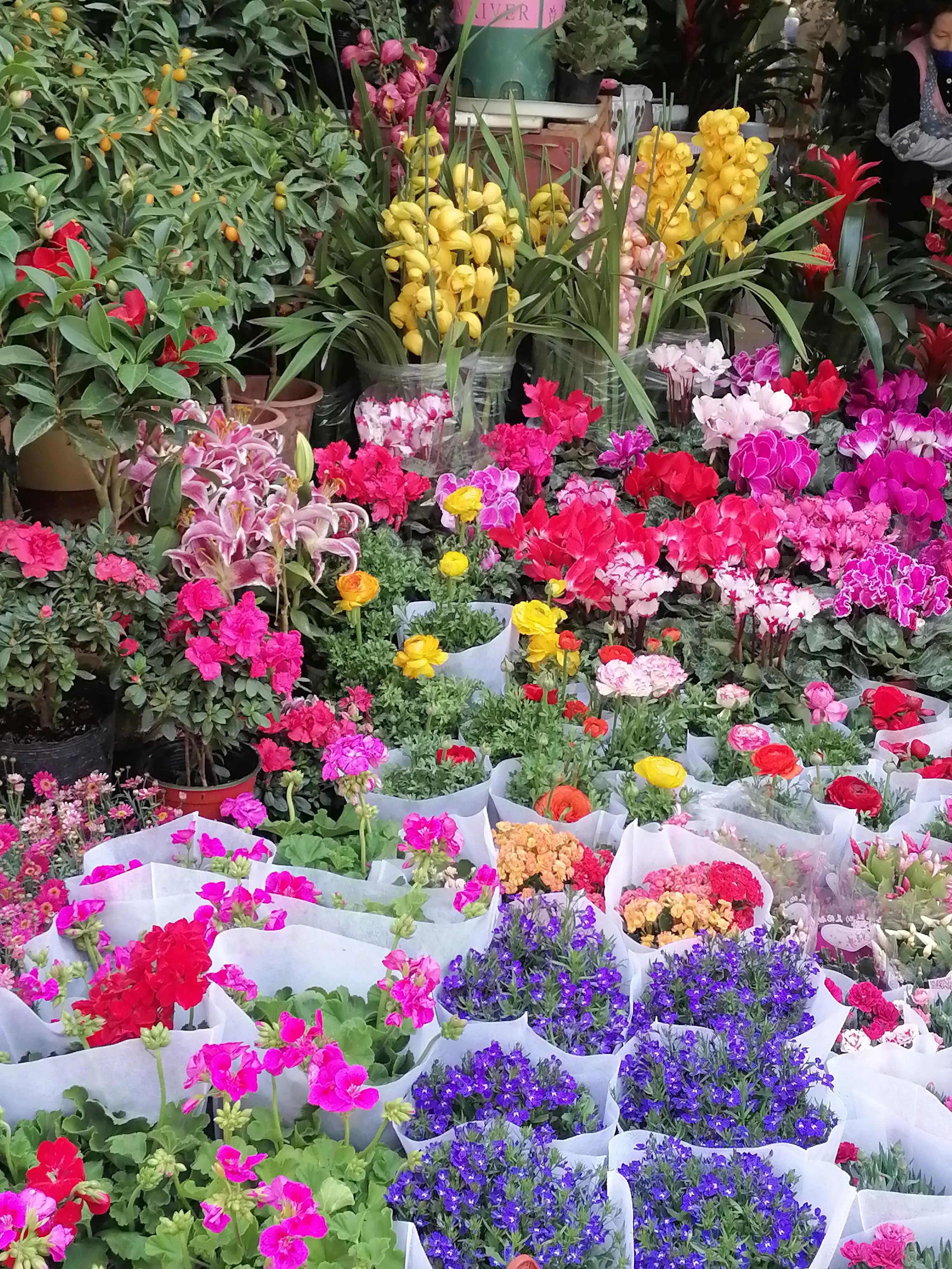 被精神病患挖伤双眼,山西挖了六岁男童双眼的凶手抓到了吗?怎么没有什么消息了？