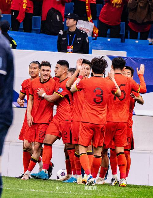 国足0比1不敌印尼,04亚洲杯国足所有比分?