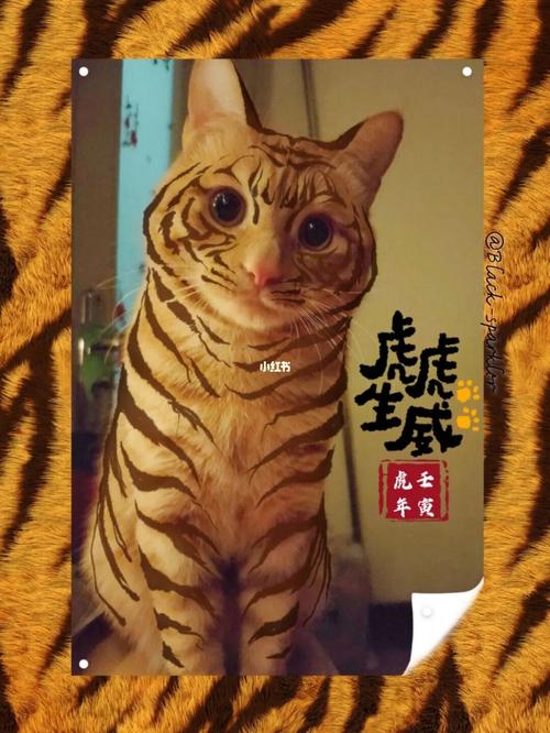 索尼反对顽皮猫商标,什么是顽皮狗?