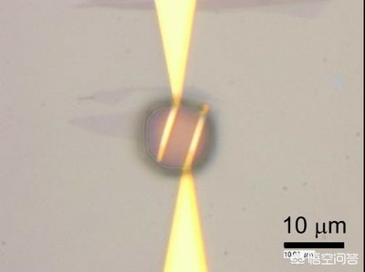 大阪世博会细菌超标,微流体石墨烯传感器如何检测微小样本中的细菌? 大阪世博会细菌超标,微流体石墨烯传感器如何检测微小样本中的细菌?