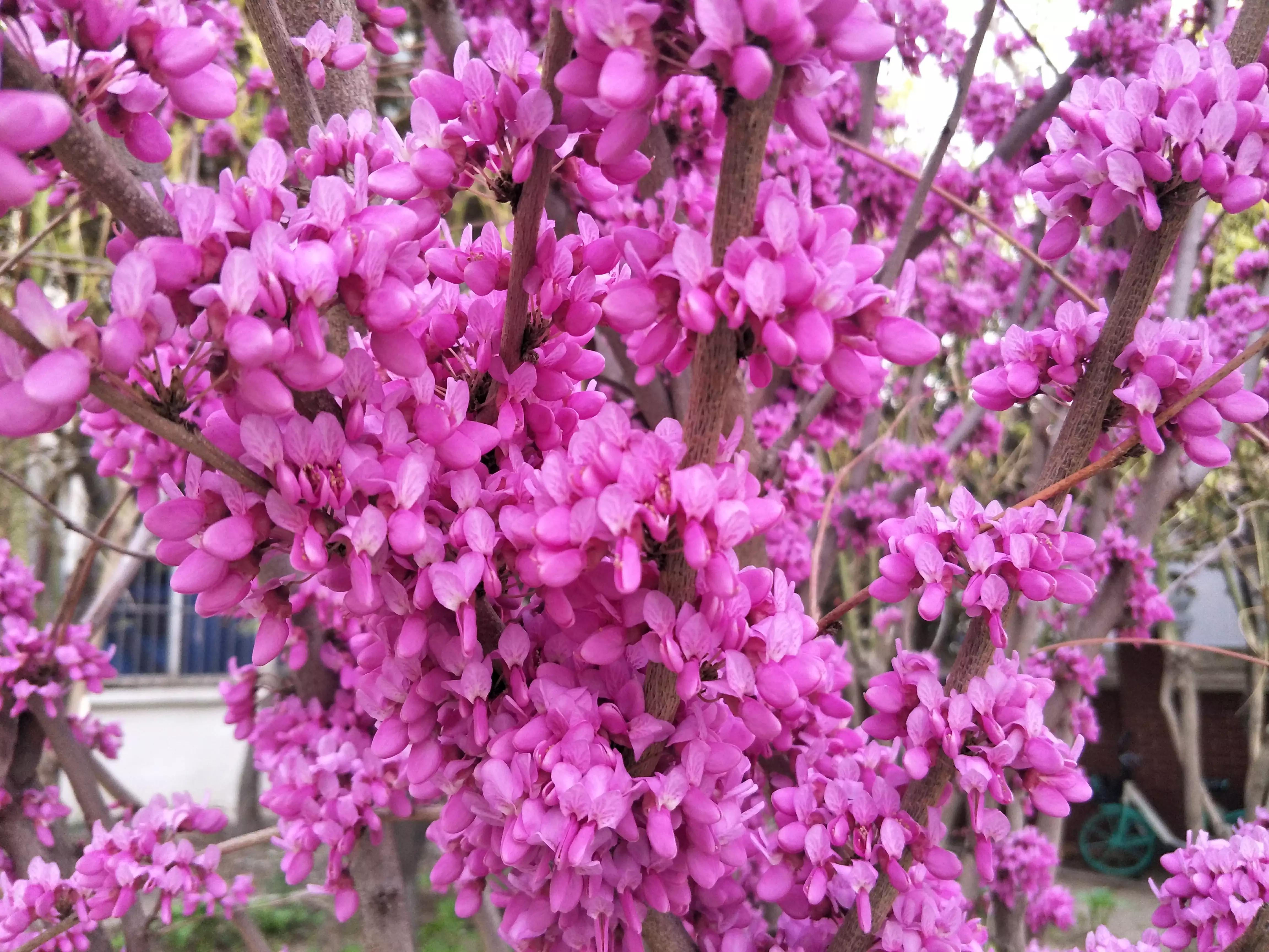 抗癌2年后发现误诊,公公18年检查出癌症，但是今年发现是误诊，应该怎么办？