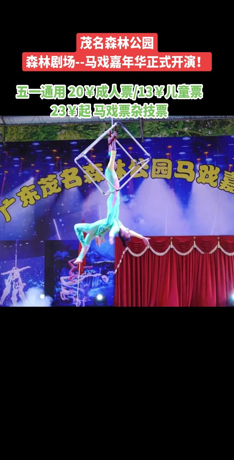 杂技演员表演中摔落,一地落叶形容什么心情?