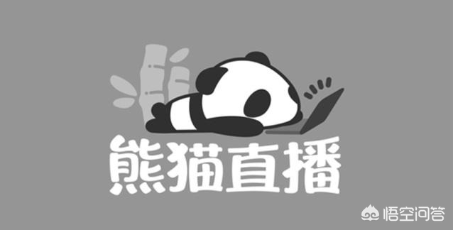 韦神粉丝已超45万,4am谁是老板？