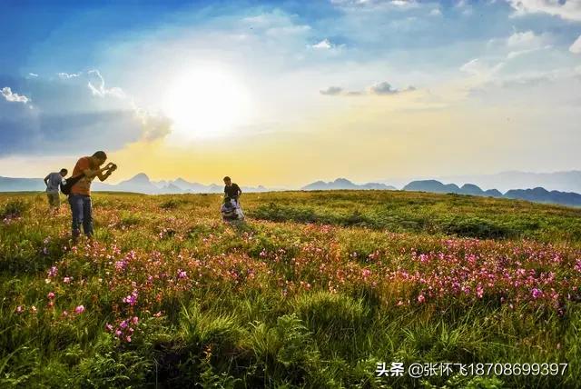 新婚2个月丈夫离世,我结婚没多久老公出车祸去世了,我以后该怎么办? 新婚2个月丈夫离世,我结婚没多久老公出车祸去世了,我以后该怎么办?