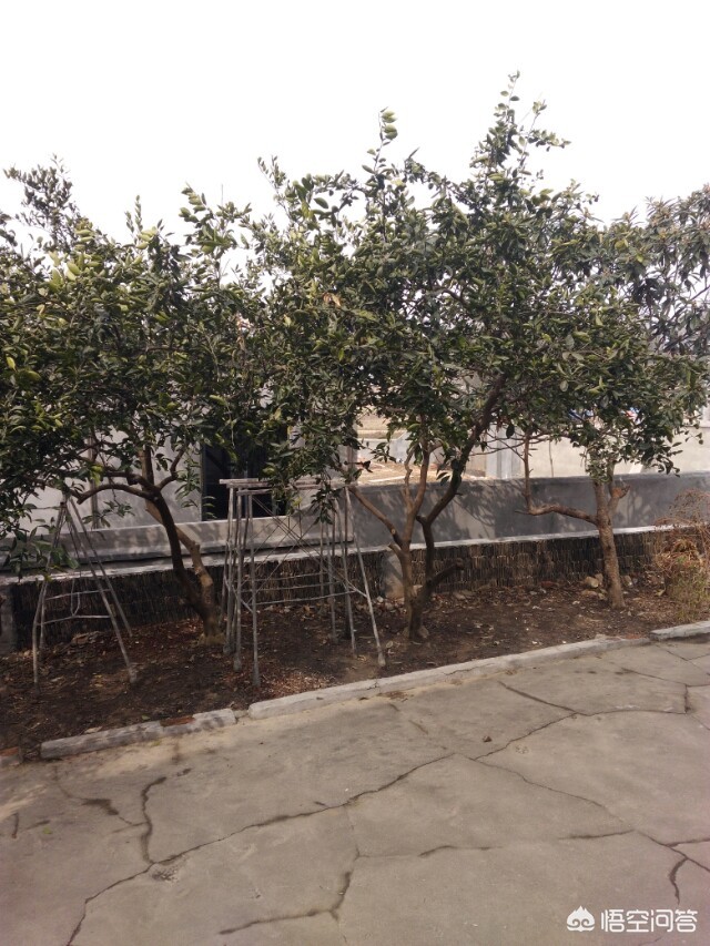 抗癌2年后发现误诊,一个月前在医院查出肺癌,住院后发现被误诊了,我可以告医院吗? 抗癌2年后发现误诊,一个月前在医院查出肺癌,住院后发现被误诊了,我可以告医院吗?