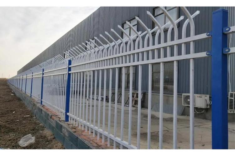 为看考生爬学校护栏,驾照模拟高速是科几?