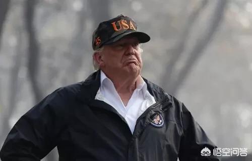 美国加州街头变战场,世界五大恐怖电影？