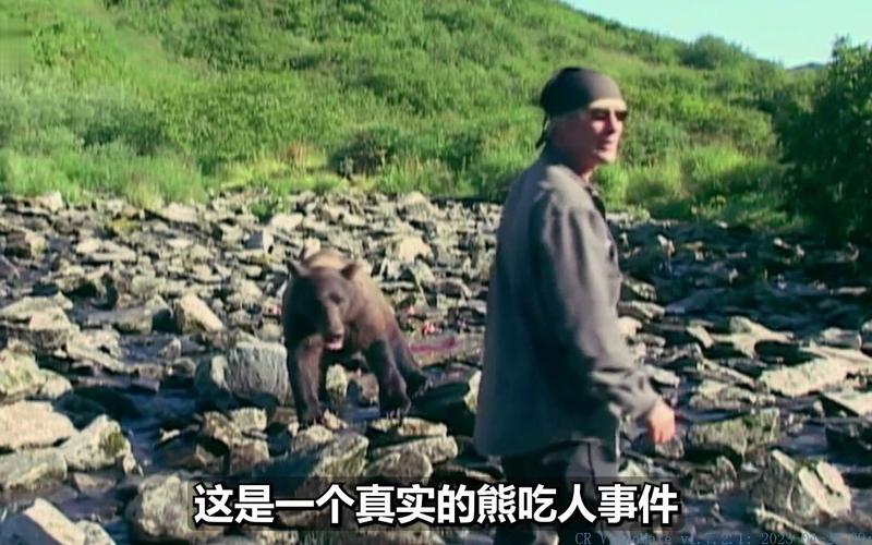 熊闯入家中上桌偷吃,有没有什么动物是吃蜜蜂的?