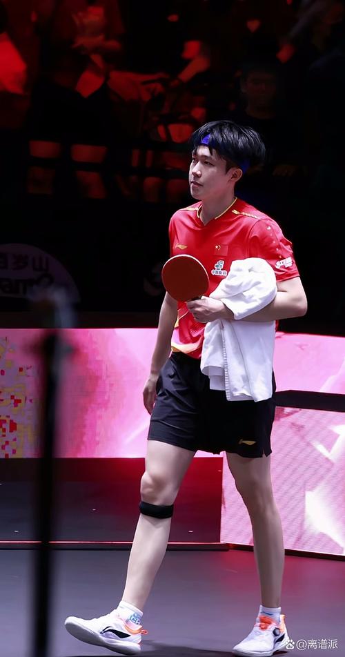 王楚钦谈19岁摔拍子,王楚钦底板及胶皮配置?