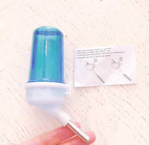 鹦鹉开饮水器喝水,鹦鹉开饮水器喝水好吗