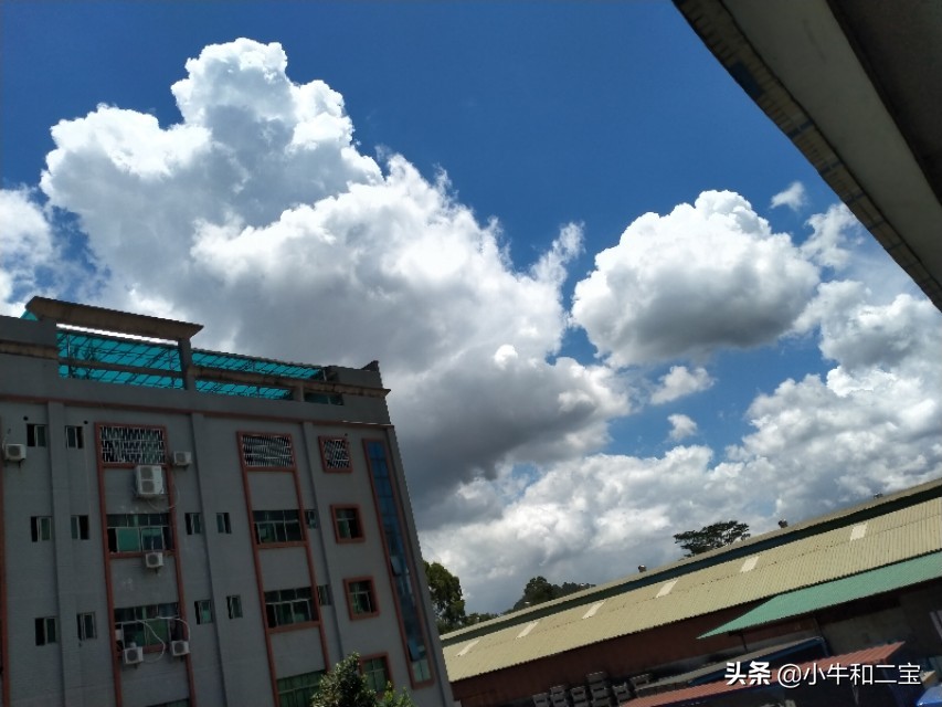 让员工一天打卡6次,休假、休息期间，部门要求员工每天钉钉定位打卡合法吗？