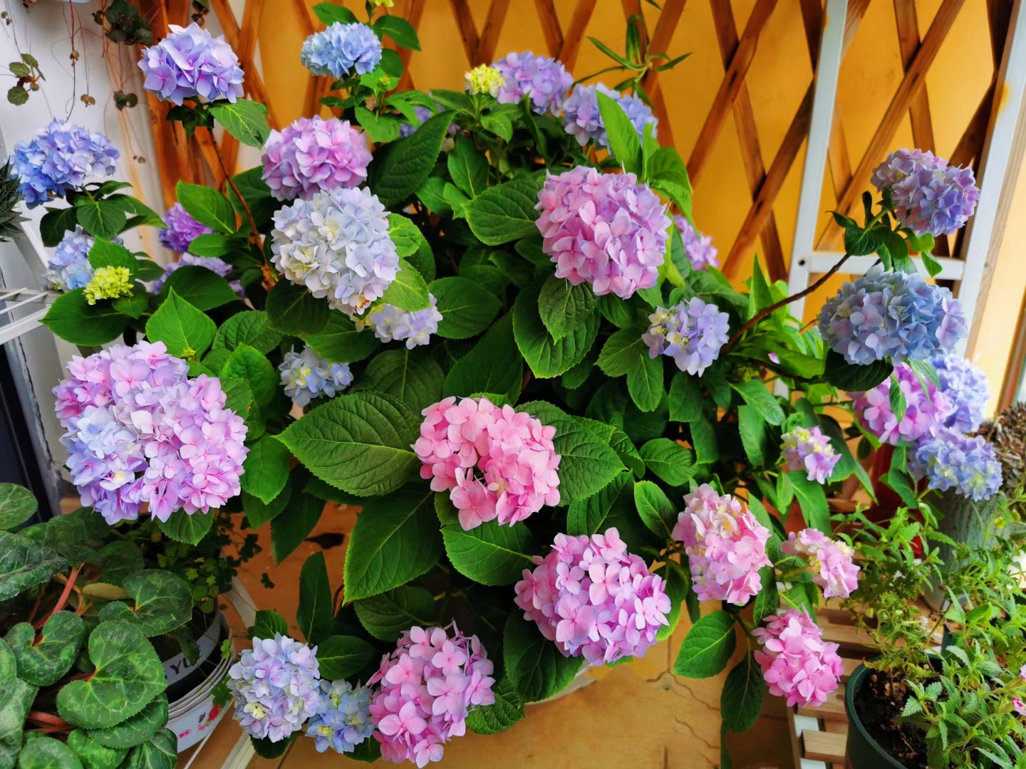 高考第二天考什么,新高考各科考试时间? 高考第二天考什么,新高考各科考试时间?