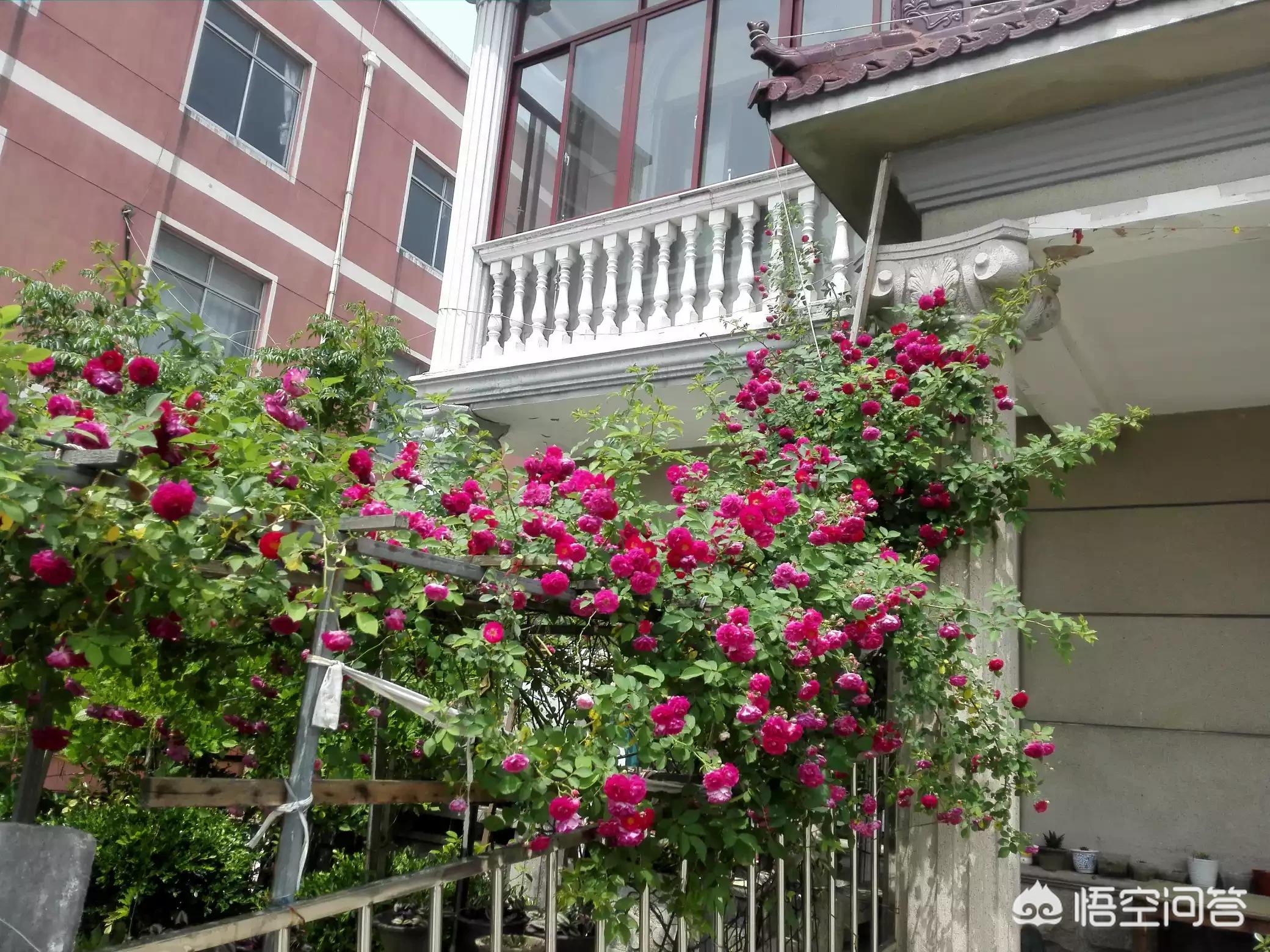 送小脑萎缩儿子高考,小脑萎缩能上学吗 送小脑萎缩儿子高考,小脑萎缩能上学吗