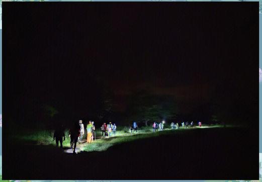 教授雨夜爬山坠崖,大学教授坠亡