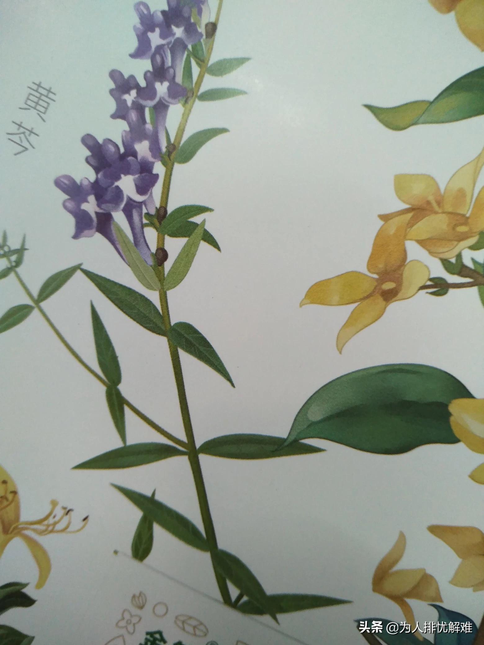 代谢变差的6个表现,代谢变差的6个表现是什么