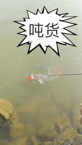 40万买玉石货不对板,快手买东西货不对板怎么办?