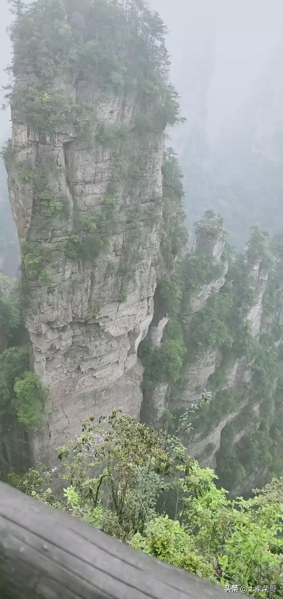 扮粉丝用门票诈骗,扮粉丝用门票诈骗犯法吗