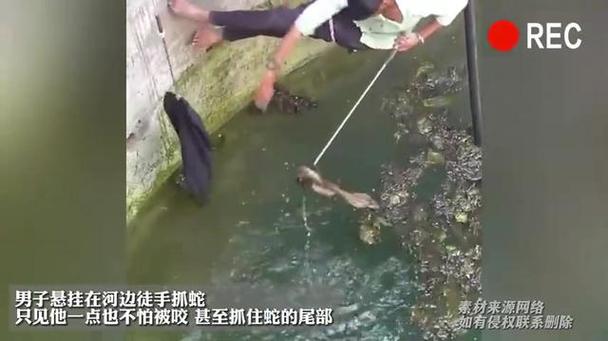 因好奇徒手抓蛇被咬,掐蛇的哪里才不会被咬?