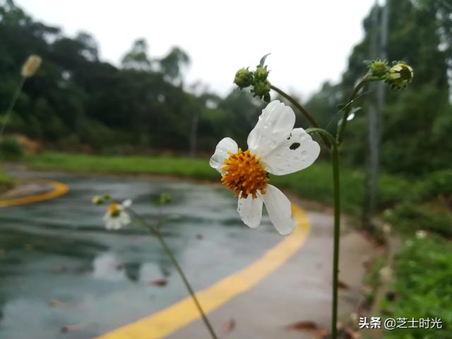 上班照镜子罚款,工作中如何面对别人的挑剔？