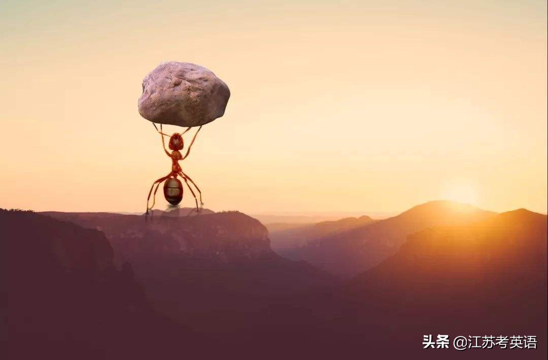 高考结束秒变弃子,高考结束捡尸