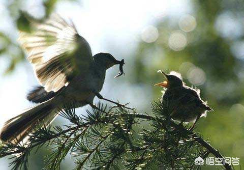 高考结束集体找妈妈,孩子高考报名母亲失联怎么办？