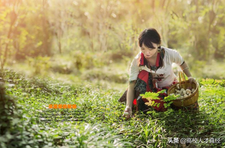 男童吃毒蘑菇去世,毒蘑菇的故事儿童？