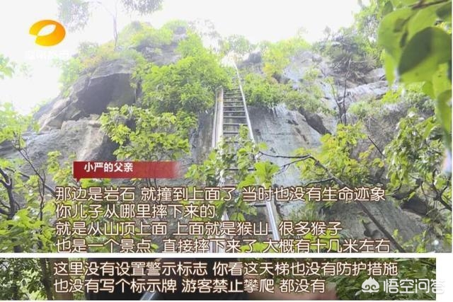 桂林通报小学生坠楼,桂林通报小学生坠楼原因