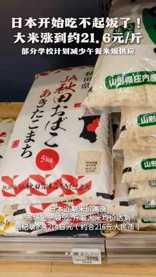 日学校午餐减少米饭,学校午餐时刻