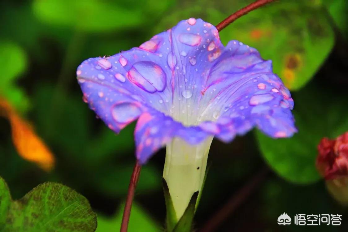 男生带妈妈遗照高考,广州一男子与同伴相约到龙洞水库游泳,不幸溺亡, 你怎么看? 男生带妈妈遗照高考,广州一男子与同伴相约到龙洞水库游泳,不幸溺亡, 你怎么看?
