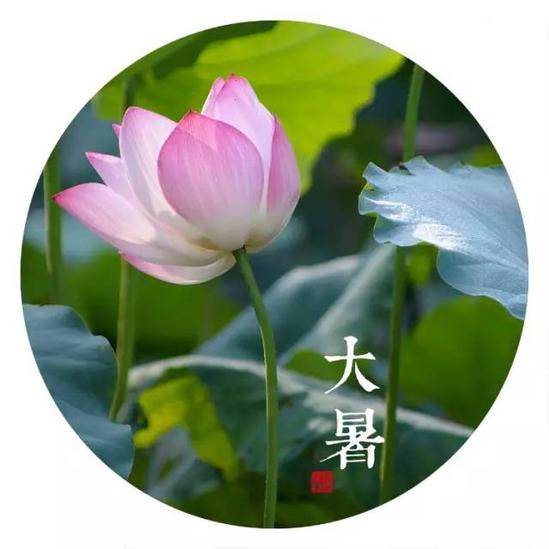 入夏后如何有效祛湿,入夏后如何有效祛湿气