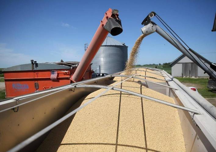 日投放12万吨过期米,过期大米回收多少钱一吨