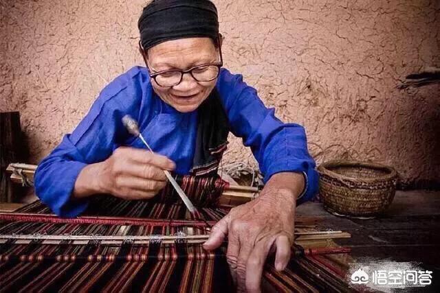 台风蝴蝶将登陆海南,蝴蝶都出现在什么地方？