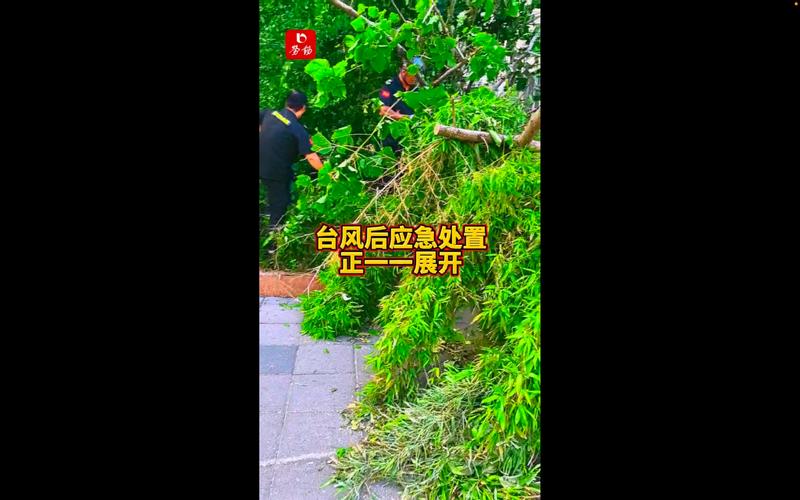 台风三级应急响应,台风一级应急与三级应急区别?