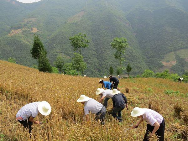 大爷误吞20cm筷子,误吞筷子怎么办 大爷误吞20cm筷子,误吞筷子怎么办