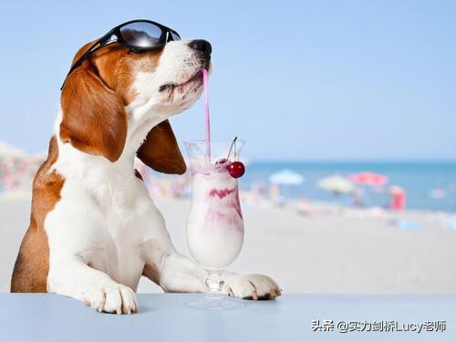 狗闯村民家咬伤女童,女童被狗咬伤食欲下降肚子疼是怎么回事？