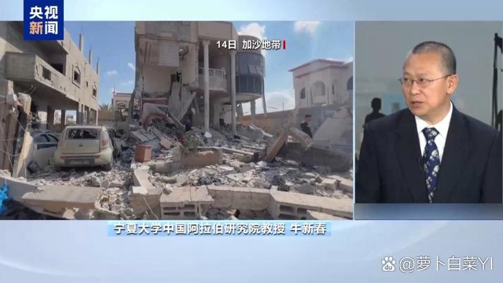 联大要加沙永久停火,